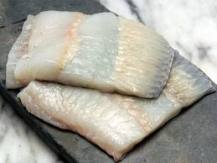 turbot image